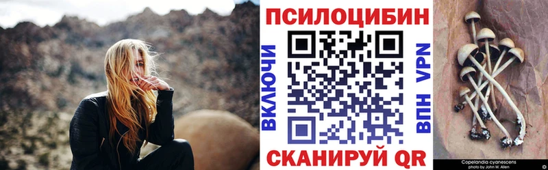 Псилоцибиновые грибы Psilocybine cubensis  Купить  Константиновск 